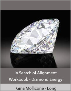 Jacqueline Joy - In Search of Alignment + Workbook - Diamond Energy