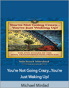 Michael Mirdad - You're Not Going Crazy...You're Just Waking Up!