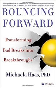Michaela Haas PhD - Bouncing Forward Transforming Bad Breaks into Breakthroughs