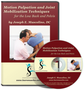 Joseph Muscolino - Motion Palpation Assessment and Joint Mobilization Treatment Techniques for the Low Back and Pelvis