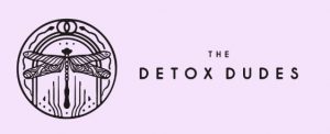 Josh Macin - Detox Dudes - The Transformational Detoxification Masterclass ( 2019 )