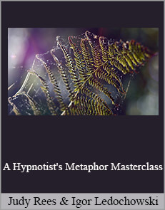 Judy Rees and Igor Ledochowski - A Hypnotist's Metaphor Masterclass