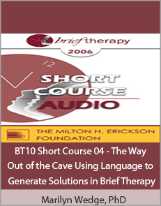 Marilyn Wedge, PhD - BT10 Short Course 04 - The Way Out of the Cave Using Language to Generate Solutions in Brief Therapy