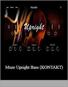 Muze Upright Bass (KONTAKT)