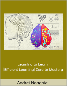 Andrei Neagoie - Learning to Learn [Efficient Learning] Zero to Mastery