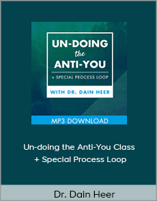 Dr. Dain Heer - Un-doing the Anti-You Class + Special Process Loop