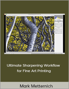 Mark Metternich - Ultimate Sharpening Workflow for Fine Art Printing