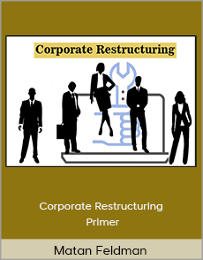 Matan Feldman - Corporate Restructuring Primer