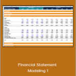 Matan Feldman - Financial Statement Modeling 1