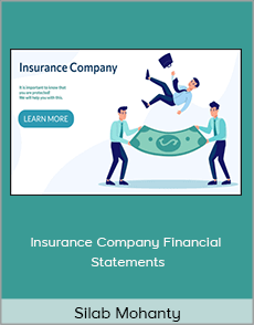 Silab Mohanty - Insurance Company Financial Statements