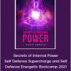 David Snyder - Secrets of Internal Power - Self Defense Supercharge and Self Defense Energetic Bootcamp 2021