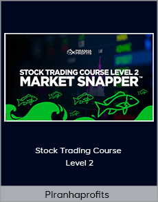Piranhaprofits - Stock Trading Course Level 2