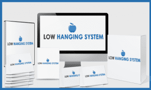 Rachel Rofe - The Low Hanging System - Update 2020