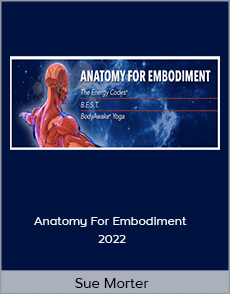 Sue Morter - Anatomy For Embodiment 2022