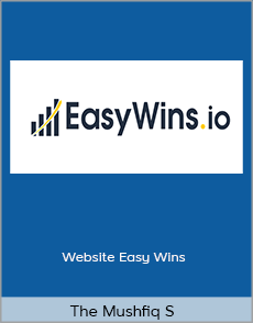 The Mushfiq S - Website Easy Wins