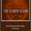Tom Bisio - Five Element (Wu Xing) Qi Gong