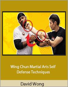 David Wong - Wing Chun Martial Arts Self Defense Techniques