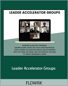 FLDWRK - Leader Accelerator Groups