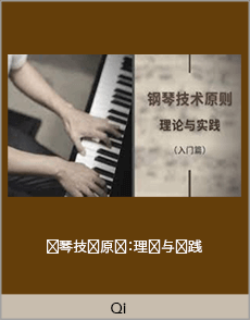 Qi - 钢琴技术原则：理论与实践