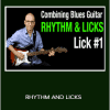 Robert Renman - RHYTHM AND LICKS