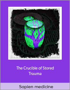 Sapien medicine - The Crucible of Stored Trauma