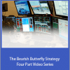 The Bearish Butterfly Strategy Four Part Video Series