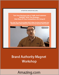 Amazing.com - Brand Authority Magnet Workshop