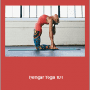 Carrie Owerko - Iyengar Yoga 101