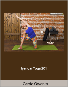 Carrie Owerko - Iyengar Yoga 201