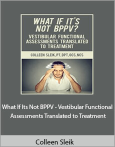 Colleen Sleik - What If It's Not BPPV Vestibular Functional Assessments Translated to Treatment