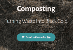 Deborah Niemann - Composting
