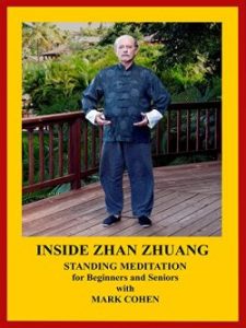 Mark Cohen - Inside Zhan Zhuang