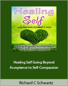 Richard C. Schwartz - Healing Self. Going Beyond Acceptance to Self-Compassion