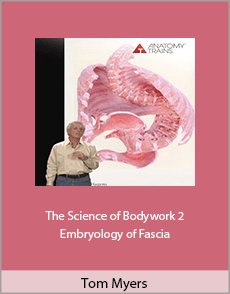 Tom Myers - The Science of Bodywork 2. Embryology of Fascia