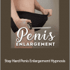 Wendi Friesen - Stay Hard Penis Enlargement Hypnosis