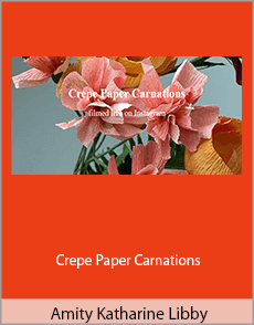 Amity Katharine Libby - Crepe Paper Carnations