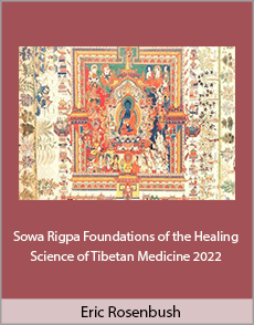 Eric Rosenbush - Sowa Rigpa. Foundations of the Healing Science of Tibetan Medicine 2022