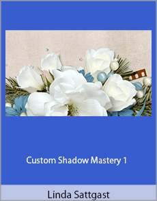 Linda Sattgast - Custom Shadow Mastery 1