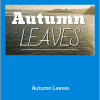 Marc-Andre Seguin - Autumn Leaves