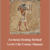 Presence Healing - Arcturian Healing Method Level 4. the Cosmic Shaman