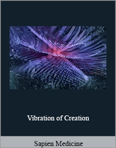 Sapien Medicine - Vibration of Creation