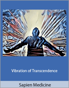 Sapien Medicine - Vibration of Transcendence