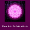 Talmadge Harper - Unreal Series. The Spirit Molecule